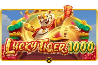 aa 12 Live Casino